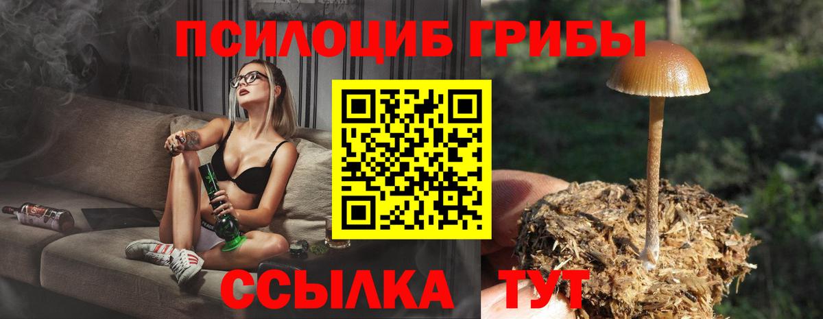 Каменск-Шахтинский  Галлюциногенные грибы Psilocybe  Вход с VPN 